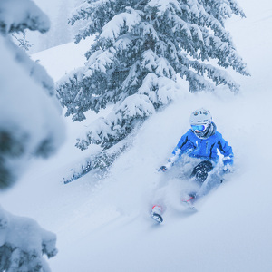 Fundraising Page: Avery Beck